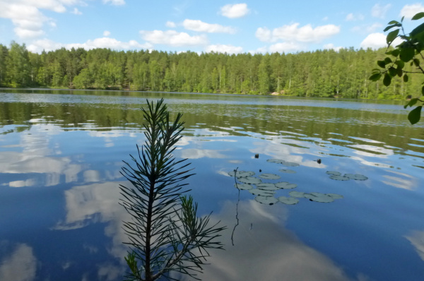 Озеро Дружинное